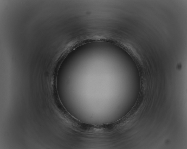 X0000095680260200801081110