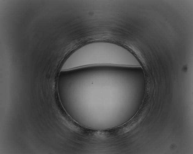 X0000095680261200801081110