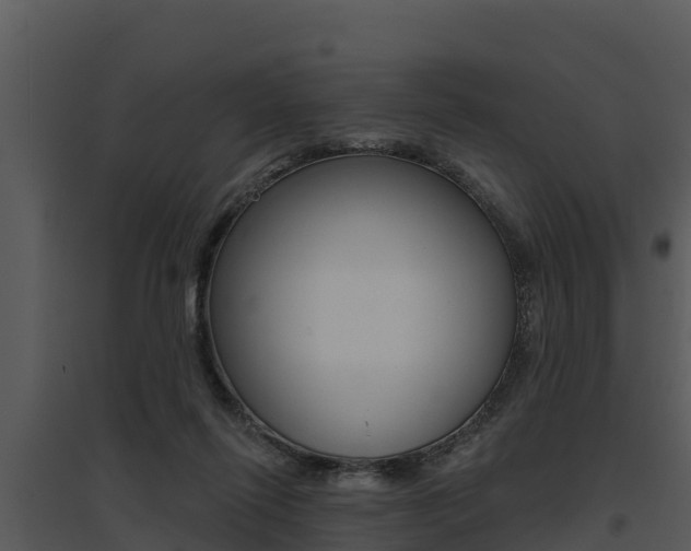 X0000095680262200801081110