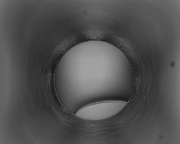 X0000095680263200801081110
