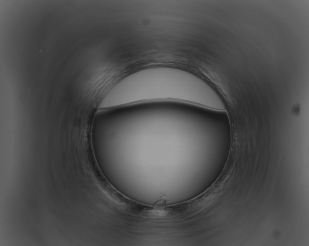 X0000095680265200801081110