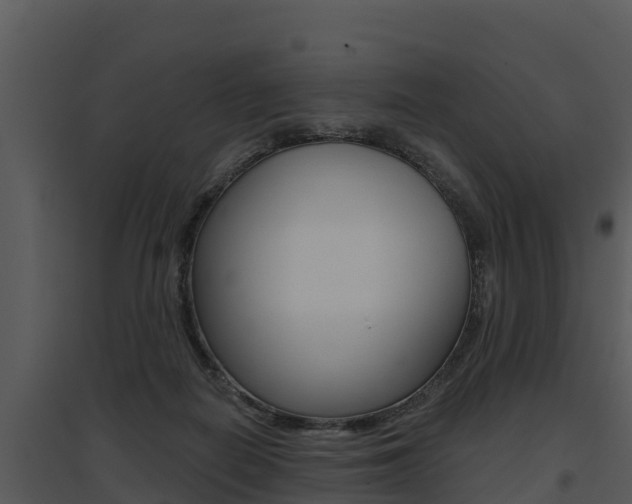 X0000095680266200801081110