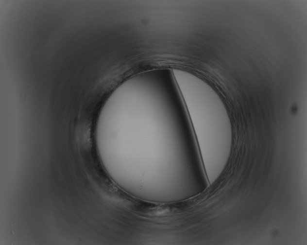 X0000095680267200801081110