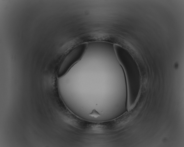 X0000095680268200801081110