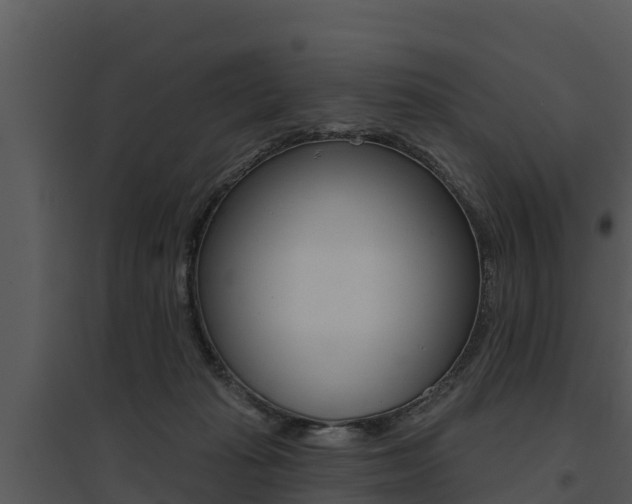 X0000095680269200801081110
