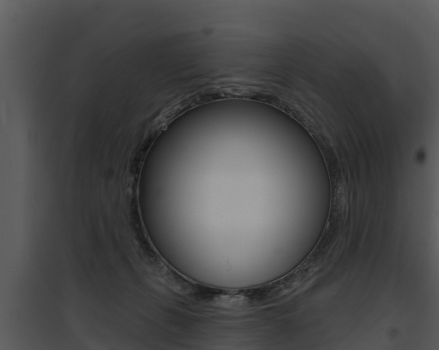 X0000095680271200801081110