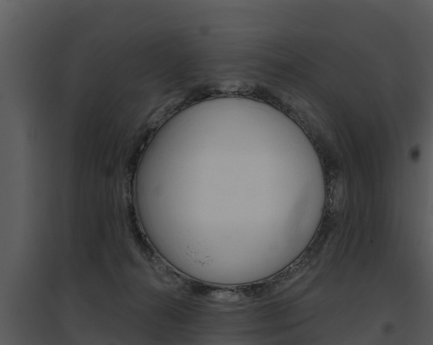 X0000095680272200801081110