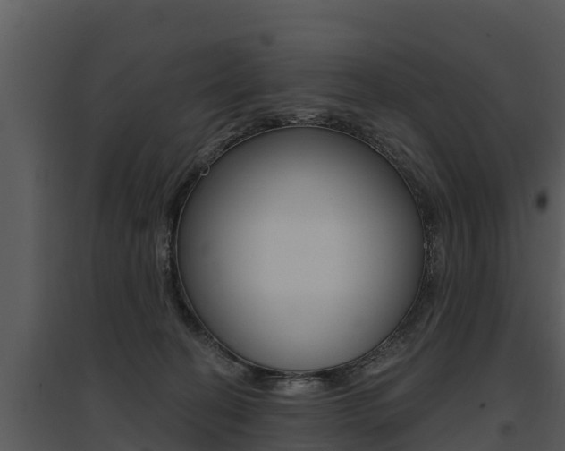 X0000095680274200801081110