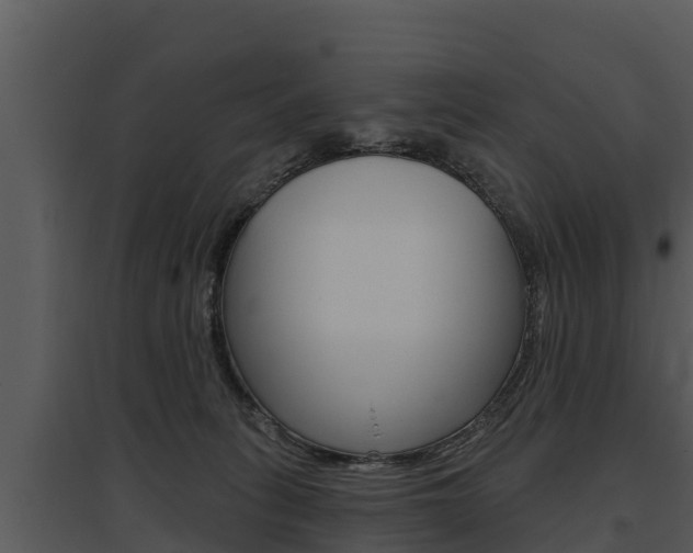 X0000095680275200801081110