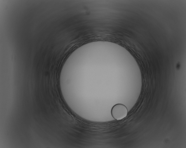 X0000095680276200801081110
