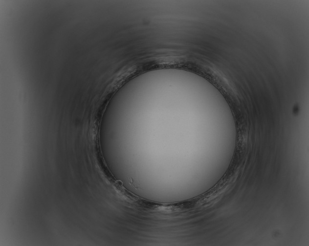 X0000095680277200801081110