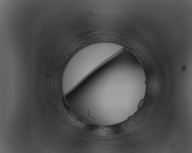 X0000095680278200801081110