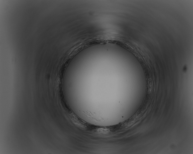 X0000095680279200801081110