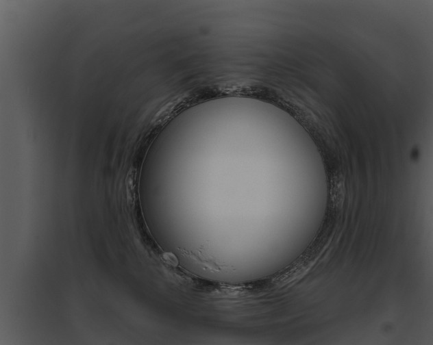X0000095680280200801081110