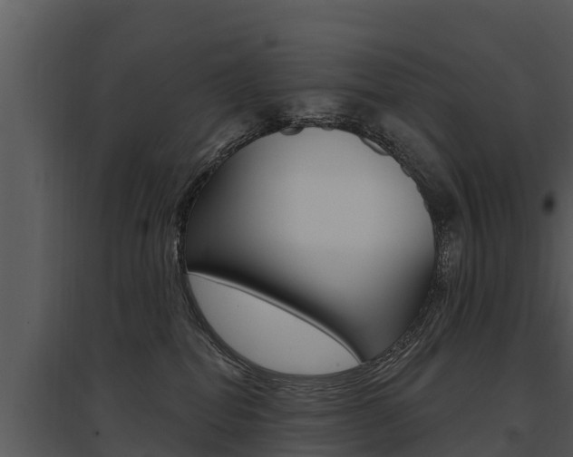 X0000095680282200801081110