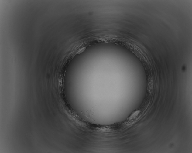X0000095680284200801081111