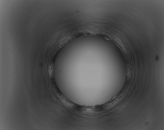 X0000095680285200801081111