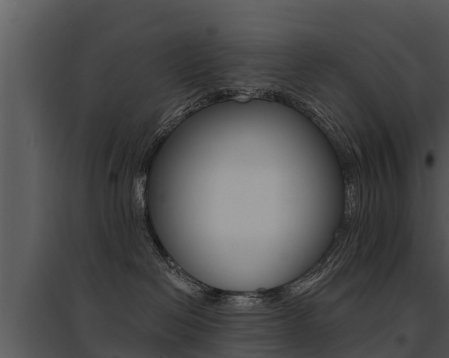 X0000095680286200801081111