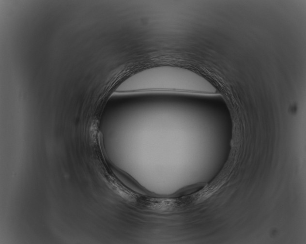 X0000095680288200801081111