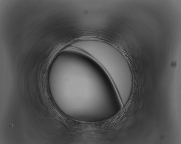 X0000095680289200801081110