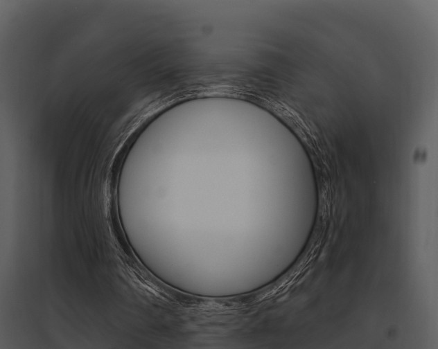 X0000095680290200801081110