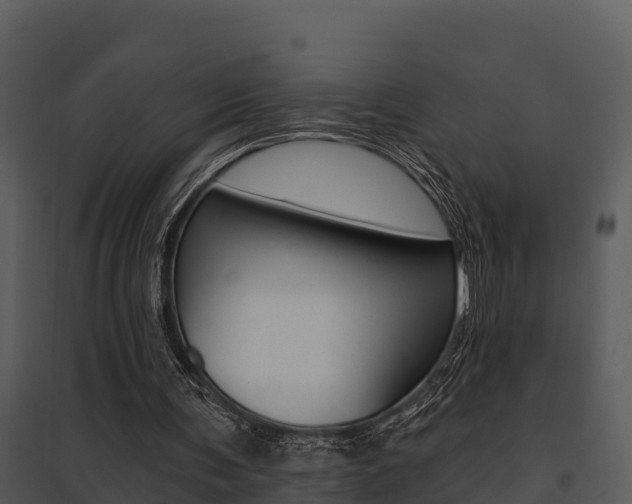 X0000095680291200801081110