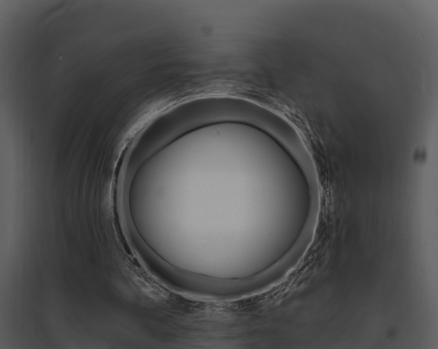 X0000095680292200801081110