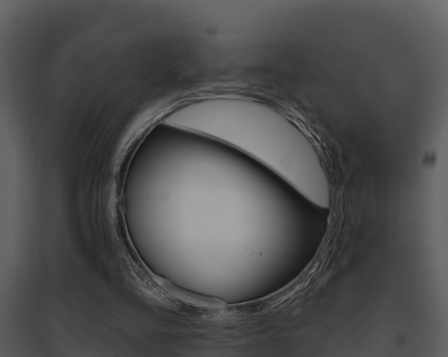 X0000095680293200801081110