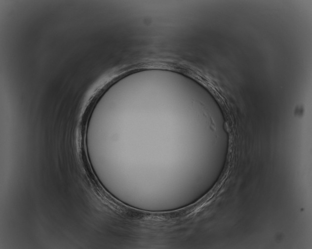 X0000095680294200801081110