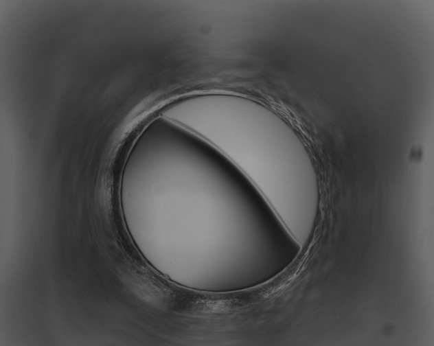 X0000095680295200801081110