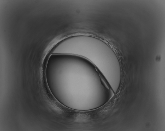 X0000095680296200801081110
