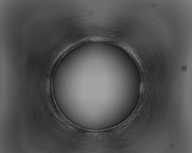 X0000095680297200801081110