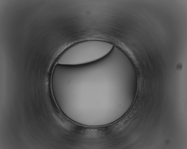 X0000095680298200801081110
