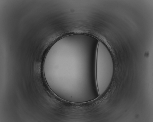X0000095680299200801081109