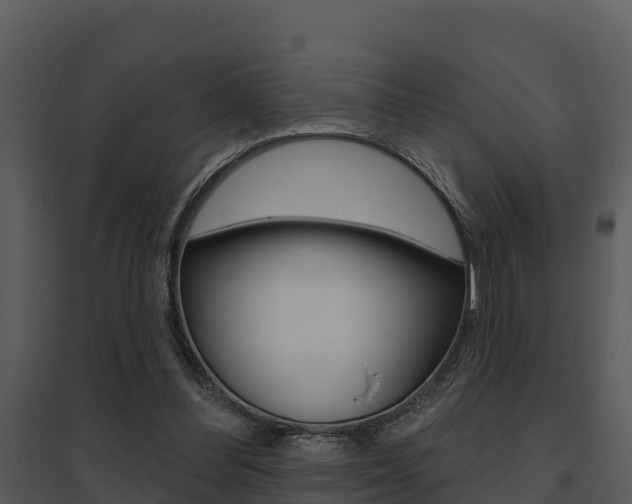 X0000095680300200801081109