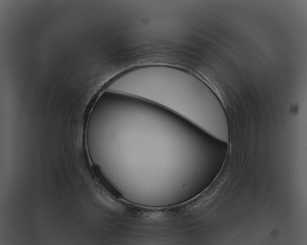 X0000095680301200801081109