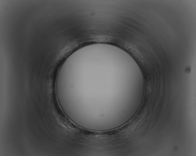 X0000095680303200801081109