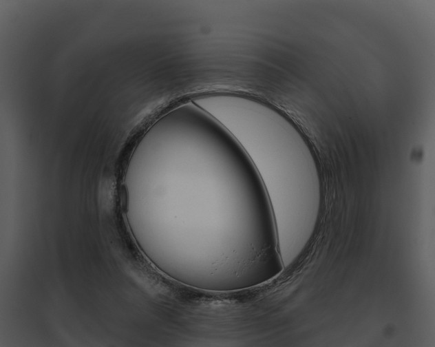 X0000095680304200801081109