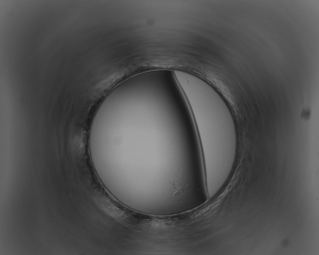 X0000095680305200801081109