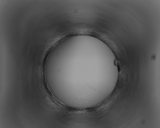 X0000095680306200801081109