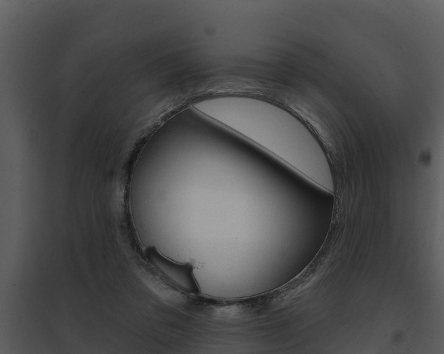 X0000095680309200801081109