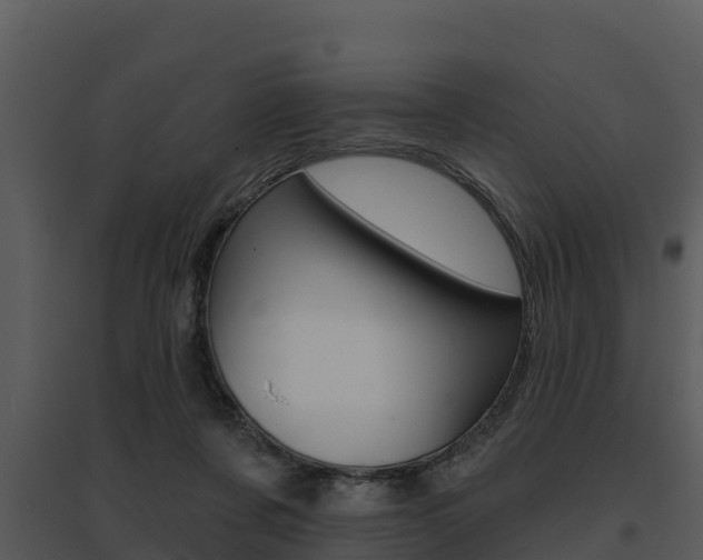 X0000095680311200801081109