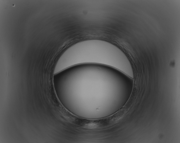 X0000095680312200801081109