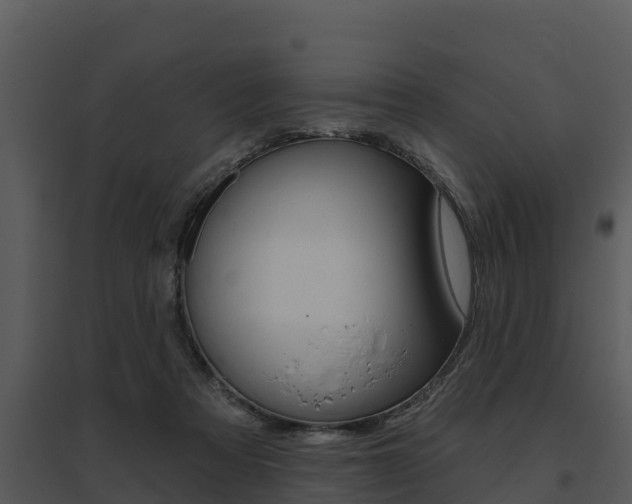 X0000095680313200801081109