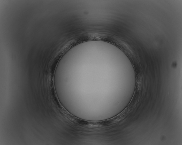 X0000095680314200801081109