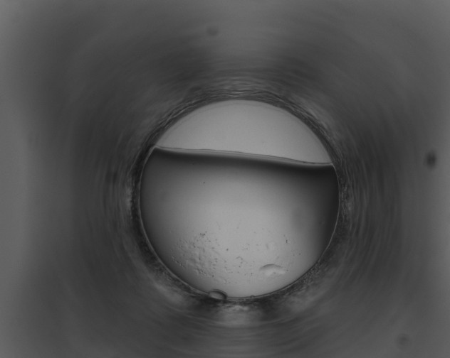X0000095680315200801081109