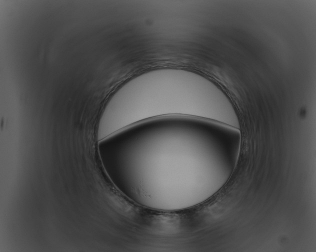 X0000095680317200801081109