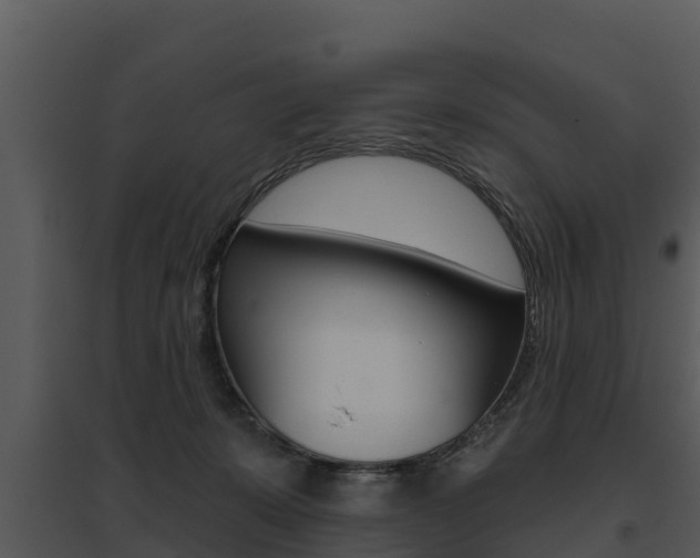 X0000095680319200801081109
