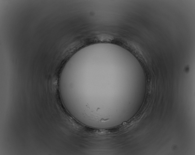 X0000095680321200801081109
