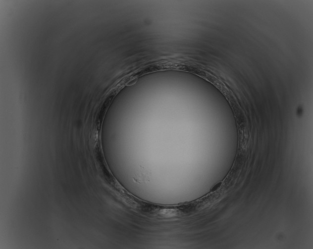 X0000095680324200801081109